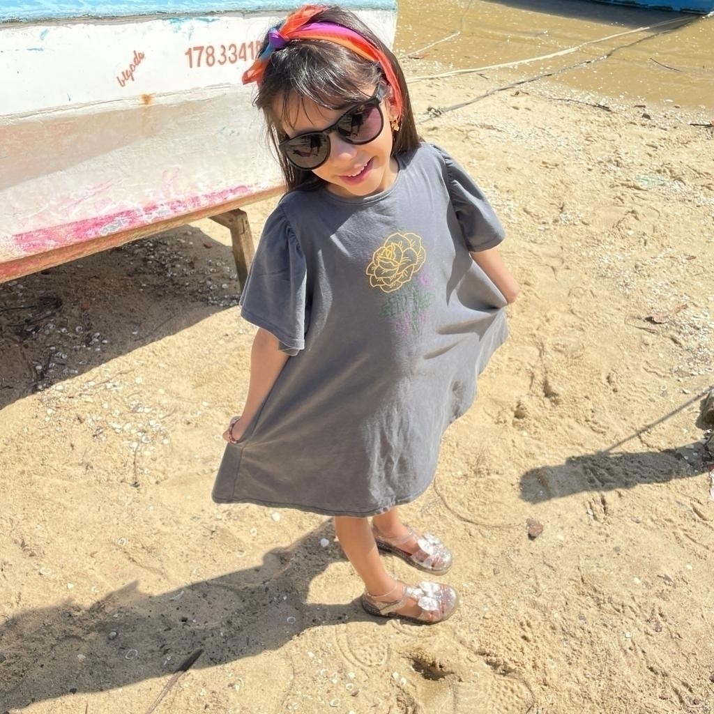 Vestido Infantil Manga Princesa Rosa Chumbo