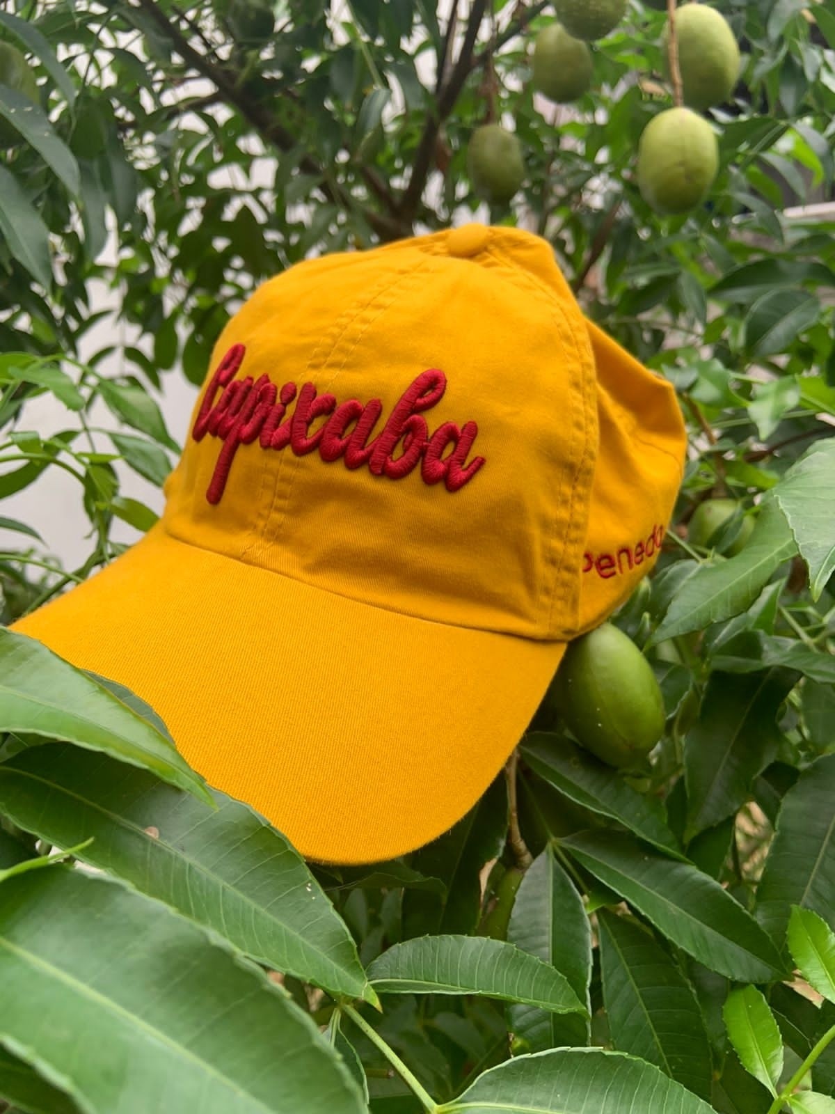 Boné Capixaba Amarelo